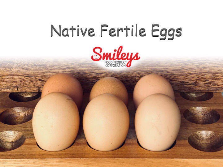 Native Chicken Fertilized Eggs Lazada PH