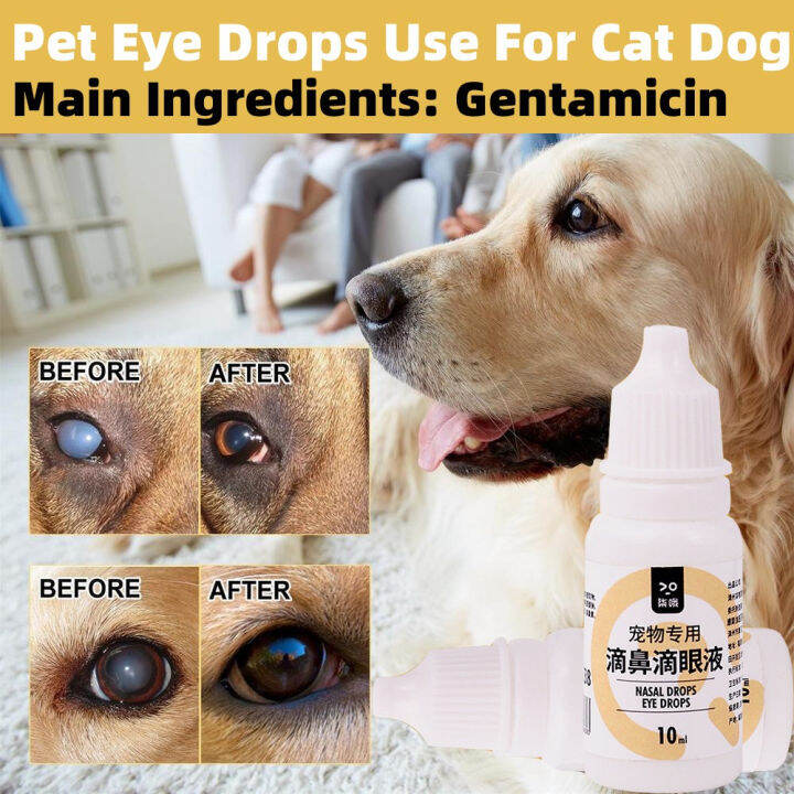 7O Dog Eye Drops Gentamicin Sulfate For Dogs Eyes Eye Drops For Cat