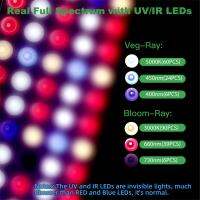 LED Grow Lights Full Spectrum 2250W Wireless Dimmer &amp; Timer สำหรับเต็นท์ในร่ม Garden Hydroponics Seedling Veg Bloom Plant Lamp