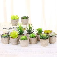 Plastic Mini Artificial Succulent Plants Artificial Bonsai Fake Simulation Decorative Ball Plants for Office Home Decor Nails Screws Fasteners