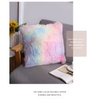 Nordic Fluffy Plush Pillow Cushion Cover With Zipper 30x5040x40 Sofa Pillow Covers Office Waist Fur Throw Pillow Case