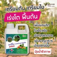 อะมิโนพืช สูตรโตเร็ว โตไว บำรุงต้น บำรุงใบ ใช้ได้ทุกระยะการเติบโต ขนาด 1 ลิตร