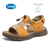 Scholl รองเท้าแตะลำลอง รองเท้าสกอลล์-ซีน่อน Xenon รองเท้ารัดส้น Unisex รองเท้าสุขภาพ นุ่มสบาย กระจายน้ำหนัก