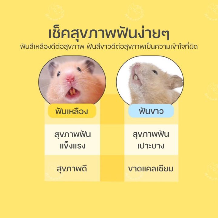 yee-ขนมลับฟันสำหรับสัตว์เลี้ยง-ขนมลับฟันหนูแฮมสเตอร์