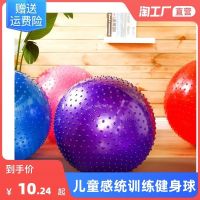 ﹊ ball thickened explosion-proof childrens sensory training fitness pregnant women midwifery delivery balance sports dragon