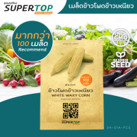 เมล็ดพันธุ์พืชไร่ SUPERTOP | ข้าวโพดข้าวเหนียว สีขาว (White Waxy Corn)