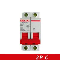 2pn Rcbo Rcd วงจรสวิตช์อากาศเบรคเกอร์ Dz47s Delixi Mcb 2ขั้ว "C" Curvers 10a-63a 10a 16a 20a 25a 32a 63a 50a 40a