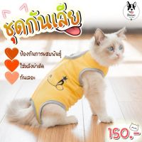 ??ร้านไทย❤️ ชุดหลังผ่าตัดแมว ชุดกันเลีย ชุดอนามัยสุนัข