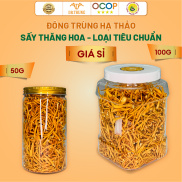 Đông trùng hạ thảo khô Dr. Trung giá sỉ - loại tiêu chuẩn