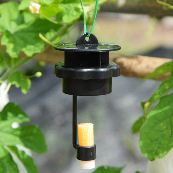 fruit-fly-trap-killer-plastic-drosophila-trap-fly-catcher-with-attractant