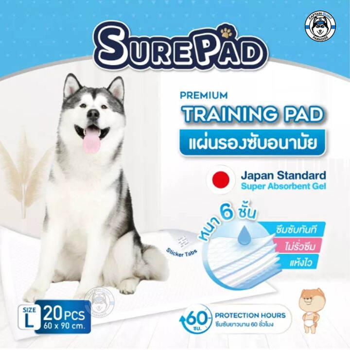 surepad-training-pad-dave-แผ่นรองซับ-ผ้ารองฉี่-แผ่นรองฉี่สุนัข-รุ่นหนา