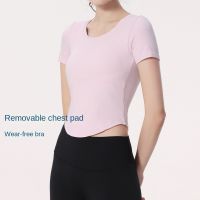 Lulu New Yoga Sports Short Sleeve Mesh Panel Loose Breathable Fabric Comfortable Fitness Top DX720