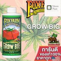 [ready stock]⭐⭐Fox Farm Grow Big (6-4-4) ปุ๋ยบำรุงพื้นฐานการเติบโตของต้นโดยรวม ทั้งโครงสร้างราก ลำต้น ใบและดอก ขนาดแบ่ง 50/100/250mlมีบริการเก็บเงินปลายทาง⭐⭐