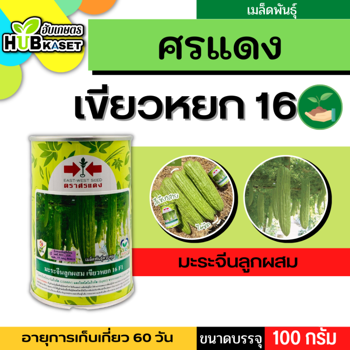 ศรแดง-มะระจีนลูกผสม-เขียวหยก-16-f1-ขนาดบรรจุ-100-กรัม-อายุเก็บเกี่ยว-60-วัน