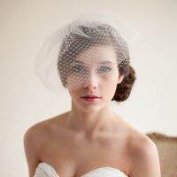 New European Style Bridal Wedding Veil Vintage Bird Cage Veil Soft Net Short Bridal Veil for Wedding Dresses