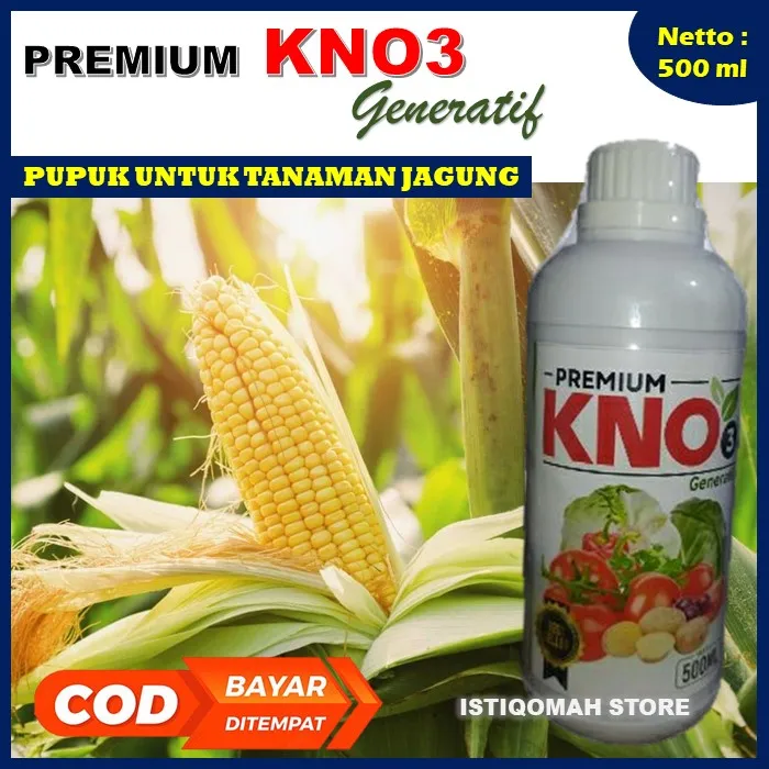 Premium Kno Generatif Ml Pupuk Tanaman Jagung Agar Berbuah Lebat Dan Berat Semua Jenis