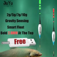 【YF】✴  Carp Fishing Float Set 2g 5g 7g 10g Luminosos Peche En Mer Accesorios De Pesca Tackle Equipamentos CR425 Charger