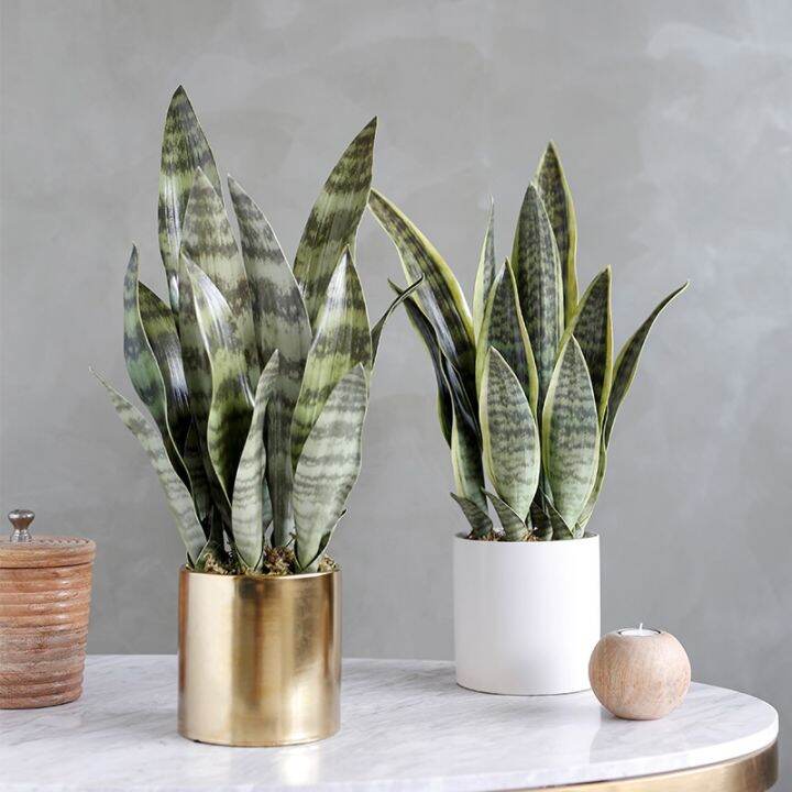 ayiq-flower-shop-พืชเทียม-sansevieria-บอนไซตกแต่งพลาสติกปลอมใบทะเลทราย-succulents-พืช-agave-โฮมออฟฟิศสวน-decors