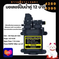 ปั้มคู่ มอเตอร์ปั้มเครื่องพ่นยา ขนาด 12 บาร์ 12 โวล ENERGY WALRUS