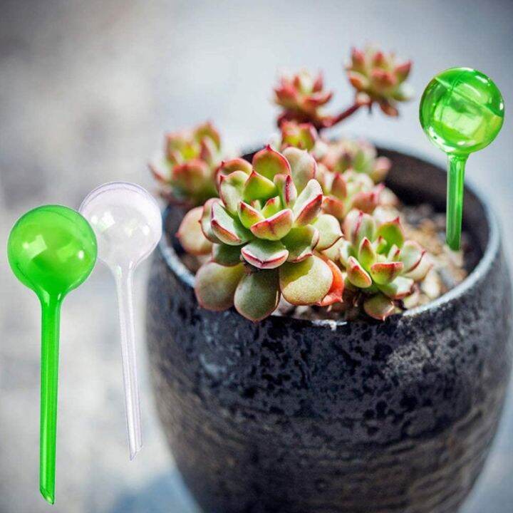 5pcs-garden-automatic-plant-water-feeder-self-watering-plastic-ball-flowers-water-cans-flowerpot-drip-irrigation-device-for-pot