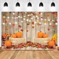 【CW】 Laeacco Leaves Pumpkin Wood Board  Photo Photography Background Photographic Backdrop Studio