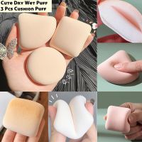 3 Pieces Dry Wet Usable Makeup Cosmetic Puff Sponge Cushion Puff for Foundation Powder Soft and Cute