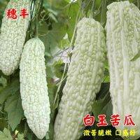 jade bitter gourd long body spring sowing heat-resistant vegetable high-yield