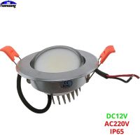 Silver 220V IP65 Indoor Waterproof Kitchen LED Downlight Dimmable 5W 7W 9W 12W 15W Outdoor Balcony Canopy Eaves Ceiling Lamp