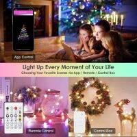 Dreamcolor Globe String Lights APP Controll 20โหมดที่มีสีสัน Music Sync สำหรับ Garden Party แคมป์ปิ้ง Indoor Outdoor Decor