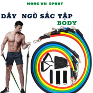 Dây Ngũ Sắc Tập Gym, Bộ 5 Dây Đàn Hồi Kháng Lực Tập Full Body