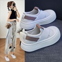 hot【DT】☸▩  2023ss Canvas Shoes Female New Student Ladies Board Net Street Shooting 6916 Loafers