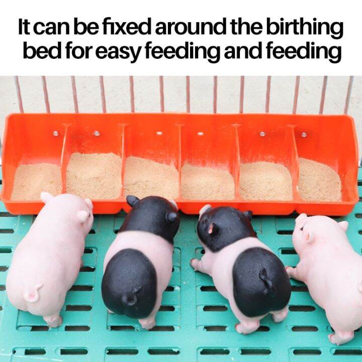 Viddavet Automatic 5 Holes Piglet Feeding Through pig feeder automatic pig automatic feeder