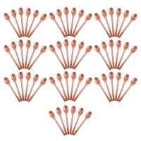 Wooden Spoons, 60 Pieces Wood Soup Spoons for Eating Mixing Stirring, Long Handle Spoon Kitchen Utensil