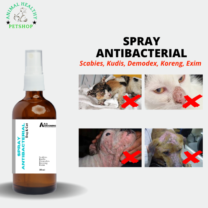 Spray Anti Jamur 30 ml, Spray Scabies Kucing, Demodex, Kulit Mengelupas