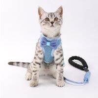 【CW】 Dog Harness and Leash Set Small Dogs Adjustable Soft Knitted Mesh Lead with Padded Handle