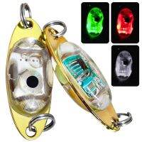 LED Spoons Underwater Flasher Diamond Lights Trolling Lures Halibut Rig LED Fishing 5cm 10g Deep Drop Fishing Lights