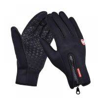 【CW】 Thermal Gloves Windproof Insulated 5 Mittens for Skiing Riding