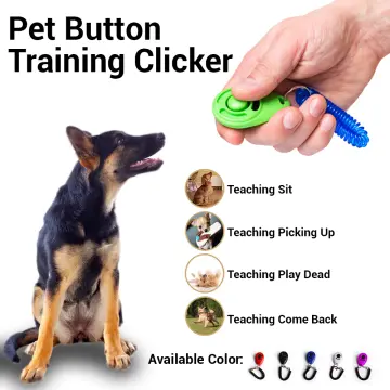 1pc Light Blue Plastic Pet Training Clicker With Wristband, Sound Keychain  Dog Whistle, Large Button Pet Behavior Training Device