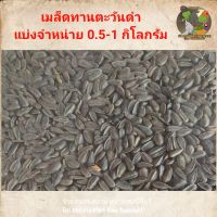 เมล็ดทานตะวันดำ 0.5-1 กิโลกรัม