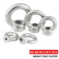 M6 M8 M10 M12 M16 Lifting Eye Nut Thread Ring Nuts Marine Boat Ring Loop Hole For Cable Rope Zinc Plated Carbon Steel DIN582