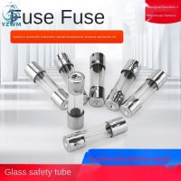 YZWM 5 x 20 6 x 30MM glass fuse fuse 0.10.20.5a 250V 100 pieces PCS