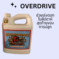 Overdrive - Advanced Nutrients ช่วยเร่งดอกในสัปดาห์สุดท้ายของการปลูก ของแท้ 100%