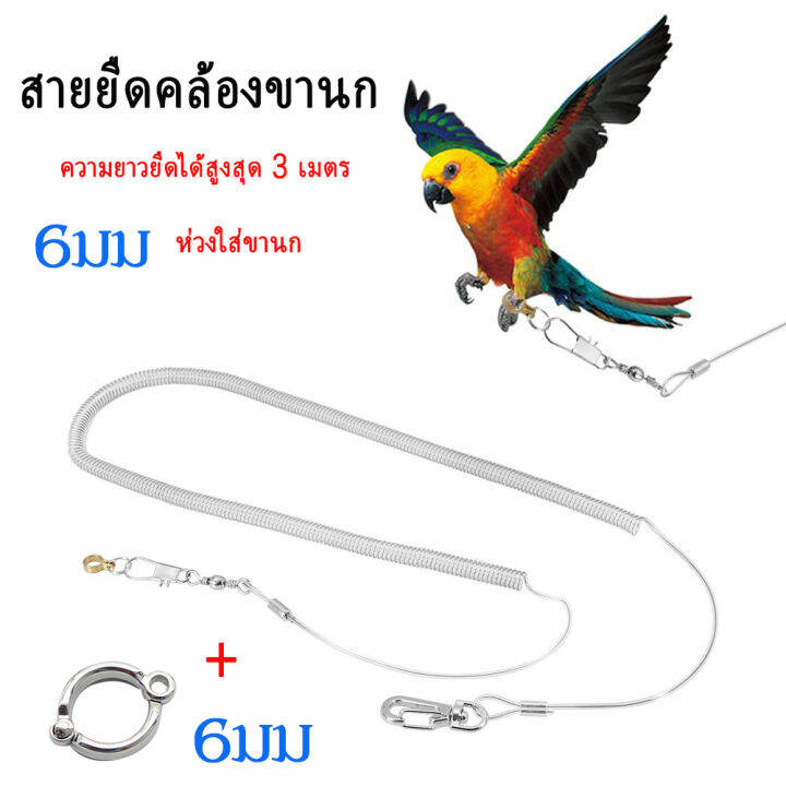 สายคล้องขานกพร้อมห่วงเปิดนก-ห่วงขานกแก้ว-ห่วงใส่ขานก-สายคล้องเท้านกแก้ว-ค๊อกคาเทล-กรีนชีค