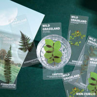 Frosted Bookmark Literary Bookmarks Eucalyptus Rose Bookmark Dry Flower Bookmark PET Plant Bookmarks Bookmarks Of The Natural Plant Institute Series