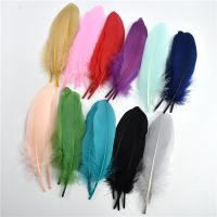 50Pcs/Lot Hard Stick Feathers for Needlework and Handicrafts Plumes Colored Feather Accessories