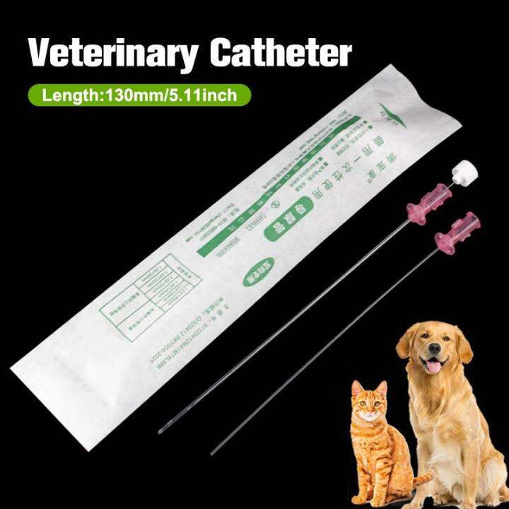 Cat Catheter With Stylet 3Fr End Hole 4Fr Side Holes Veterinary Urinary Cat Catheters Lazada PH