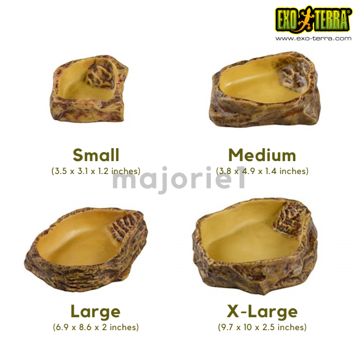 Exo Terra Water Dish for Reptiles Lazada PH