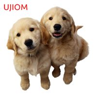 UJIOM สัตว์จำพวกสุนัขน่ารักลูกสุนัขสติ๊กเกอร์ติดผนังกันน้ำห้องนั่งเล่นตู้เสื้อผ้าห้องน้ำสติ๊กเกอร์ไวนิลติดรถยนต์ตกแต่งบุคลิกภาพ