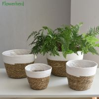 Grands pots de fleurs en paille paniers de fleurs plantes en pot plantes vertes tissage Abropérer artisanat fait main paniers de tissage dintérieur au sol