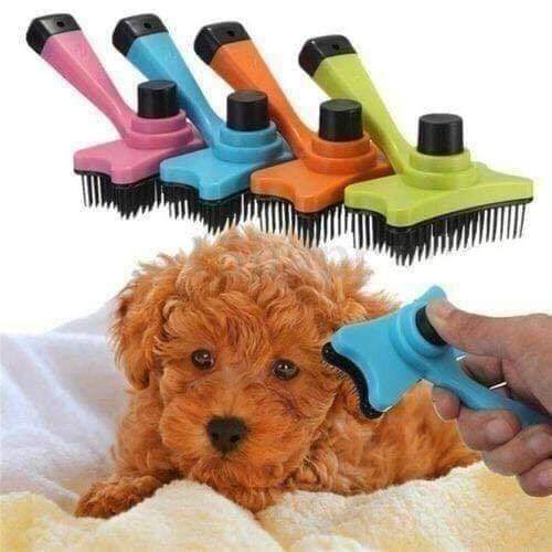 Dog hair brush Lazada PH